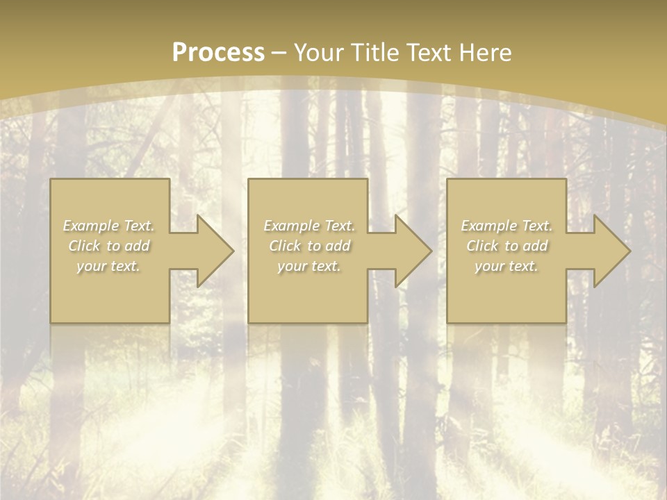 A Sunlit Forest Powerpoint Presentation PowerPoint Template
