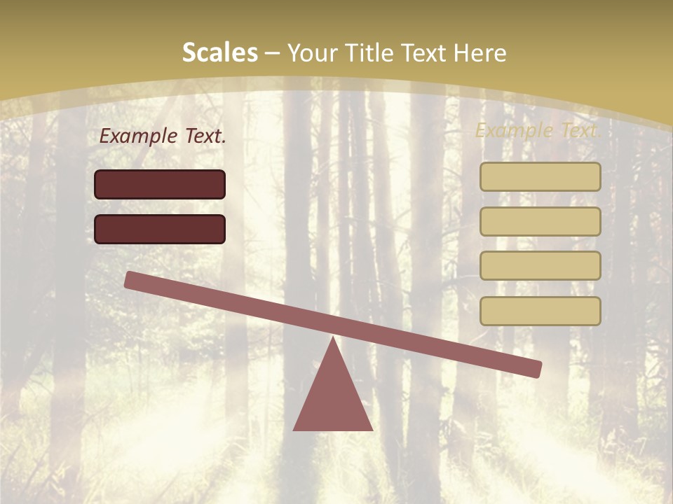 A Sunlit Forest Powerpoint Presentation PowerPoint Template