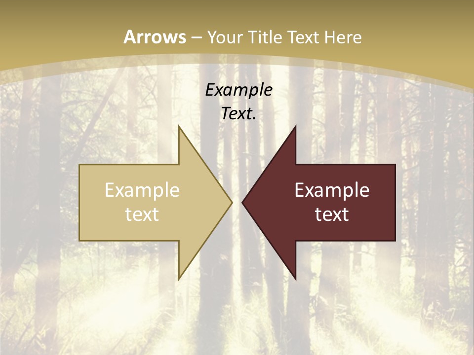 A Sunlit Forest Powerpoint Presentation PowerPoint Template