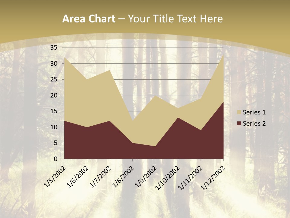 A Sunlit Forest Powerpoint Presentation PowerPoint Template