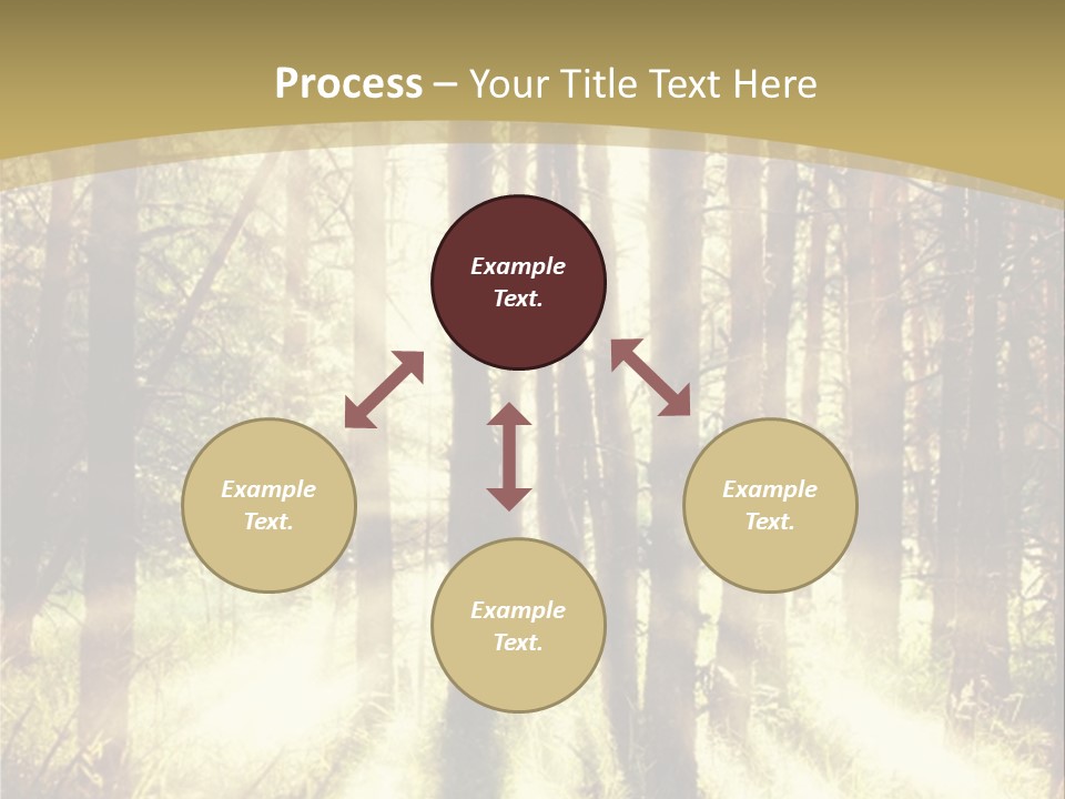 A Sunlit Forest Powerpoint Presentation PowerPoint Template
