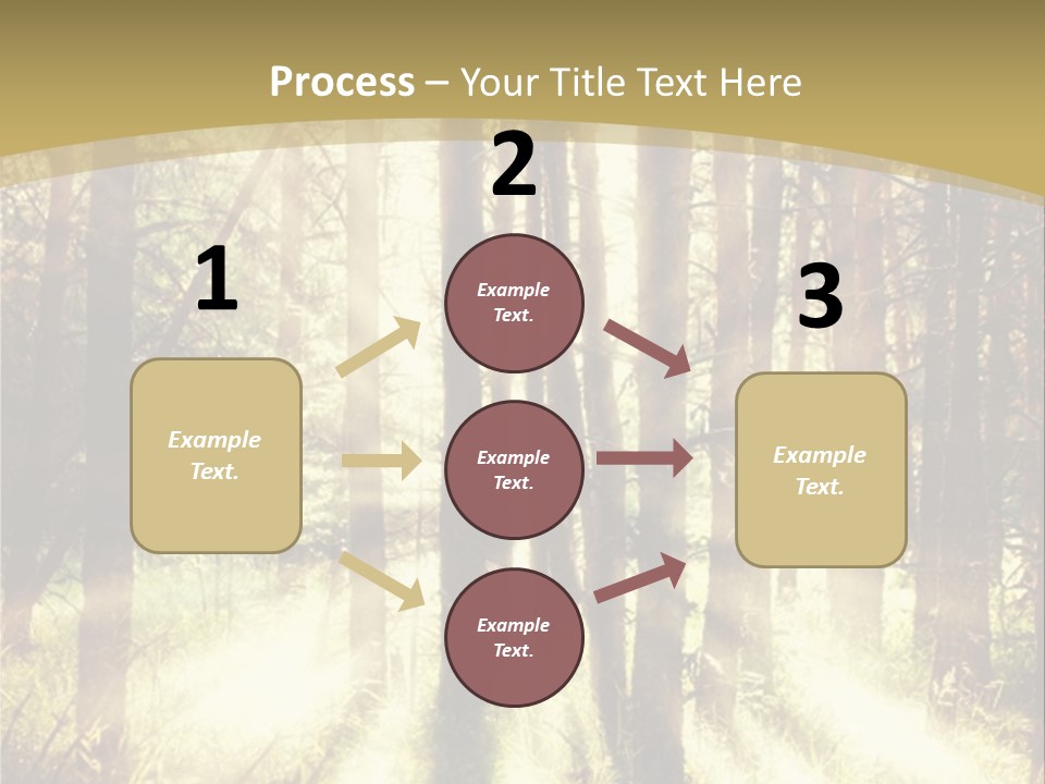 A Sunlit Forest Powerpoint Presentation PowerPoint Template