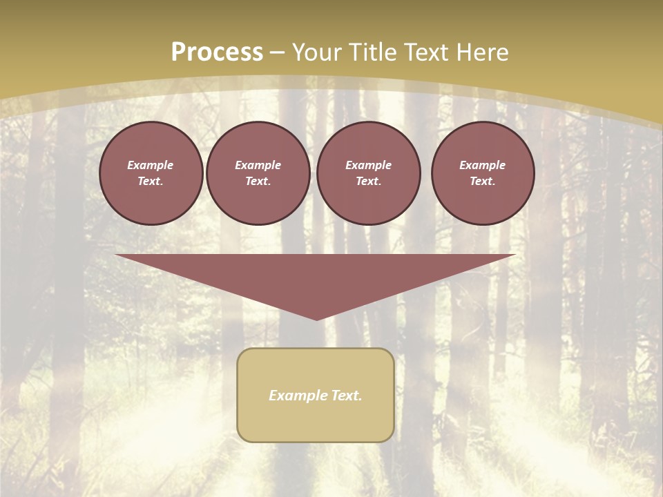 A Sunlit Forest Powerpoint Presentation PowerPoint Template