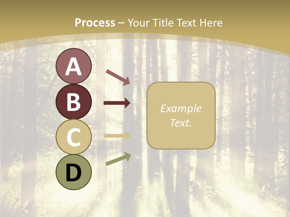 A Sunlit Forest Powerpoint Presentation PowerPoint Template