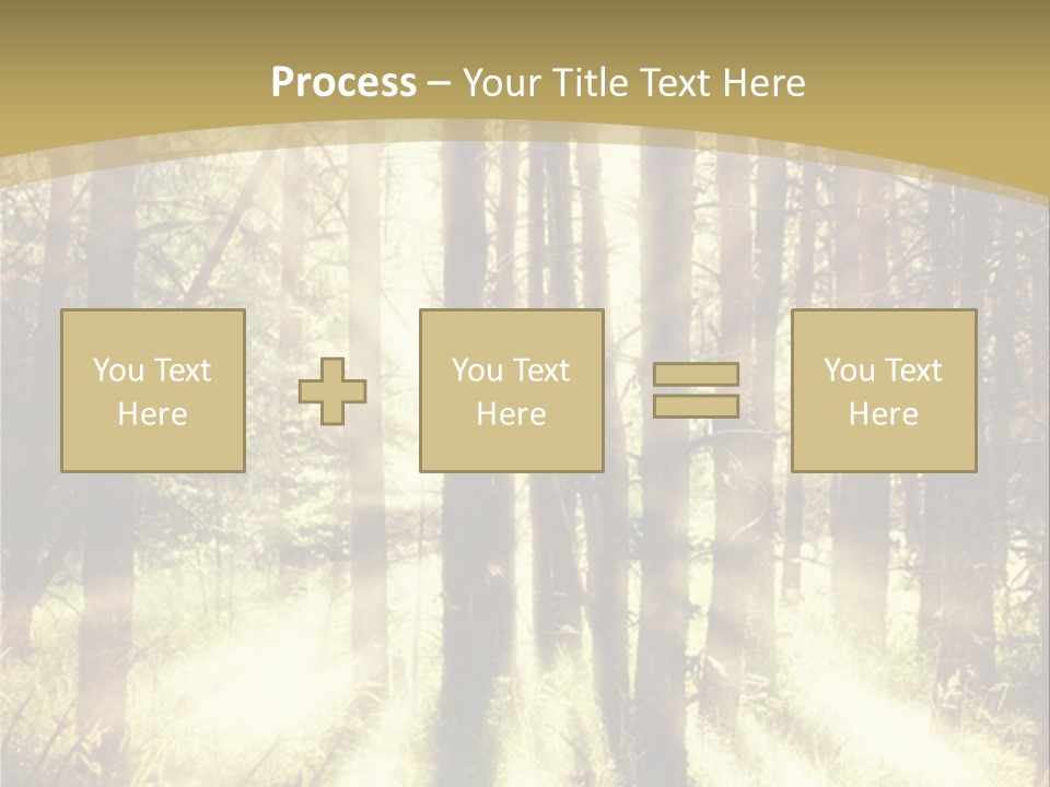 A Sunlit Forest Powerpoint Presentation PowerPoint Template