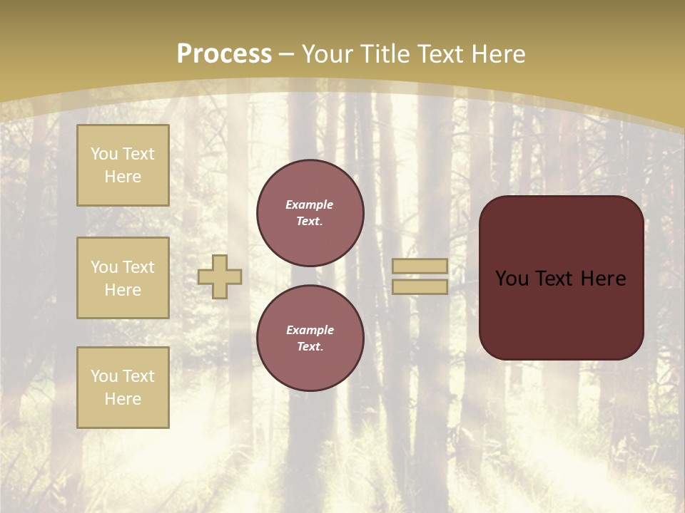 A Sunlit Forest Powerpoint Presentation PowerPoint Template