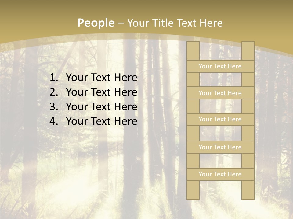 A Sunlit Forest Powerpoint Presentation PowerPoint Template