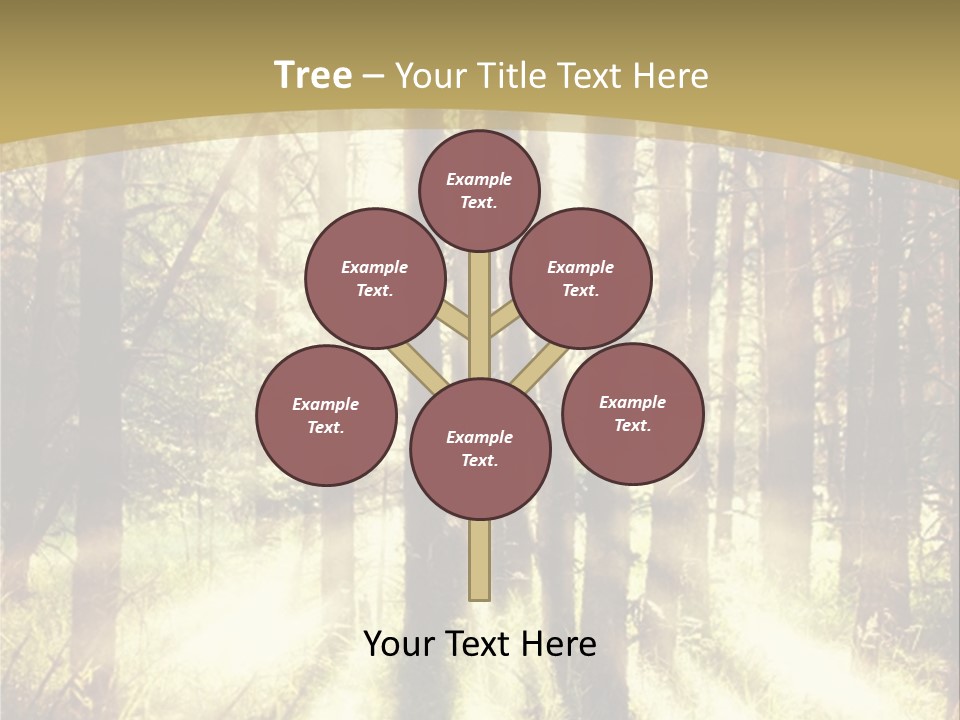 A Sunlit Forest Powerpoint Presentation PowerPoint Template