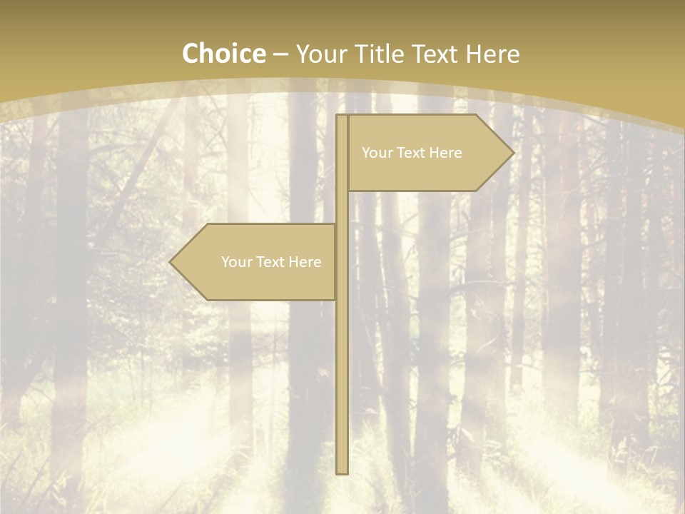 A Sunlit Forest Powerpoint Presentation PowerPoint Template