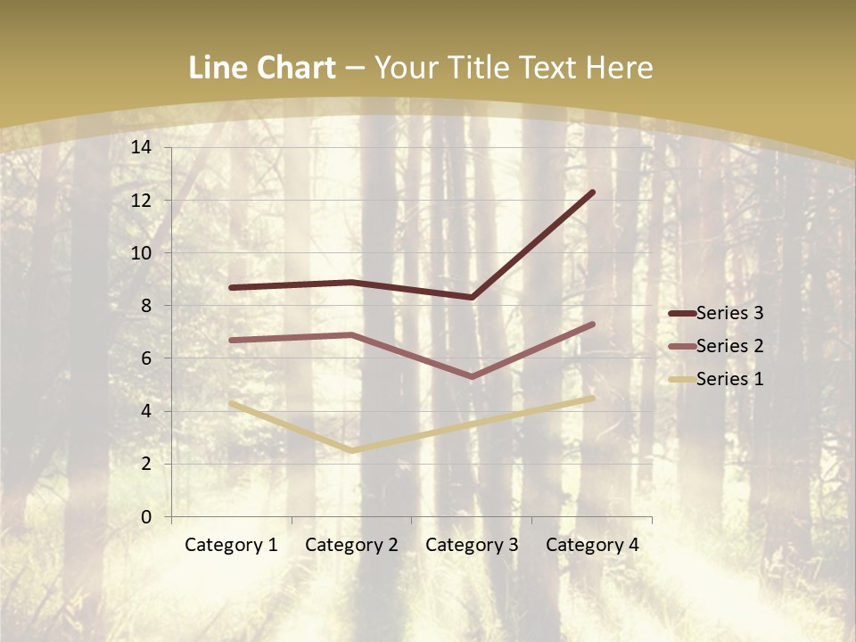 A Sunlit Forest Powerpoint Presentation PowerPoint Template