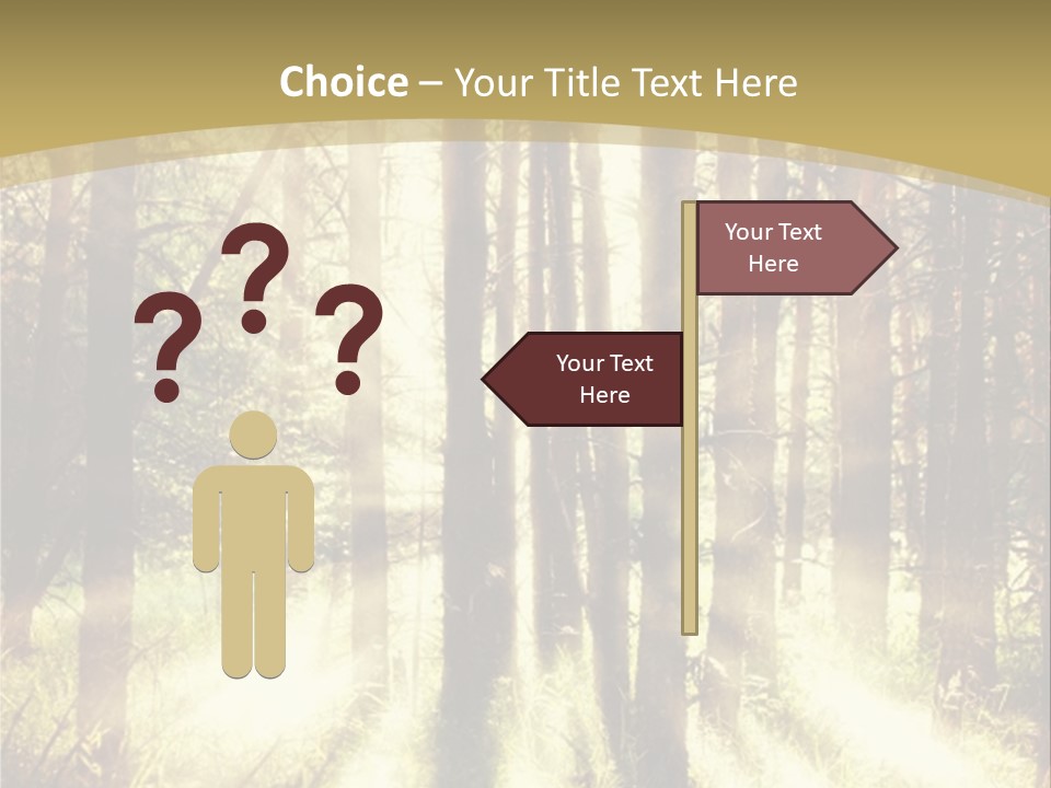 A Sunlit Forest Powerpoint Presentation PowerPoint Template