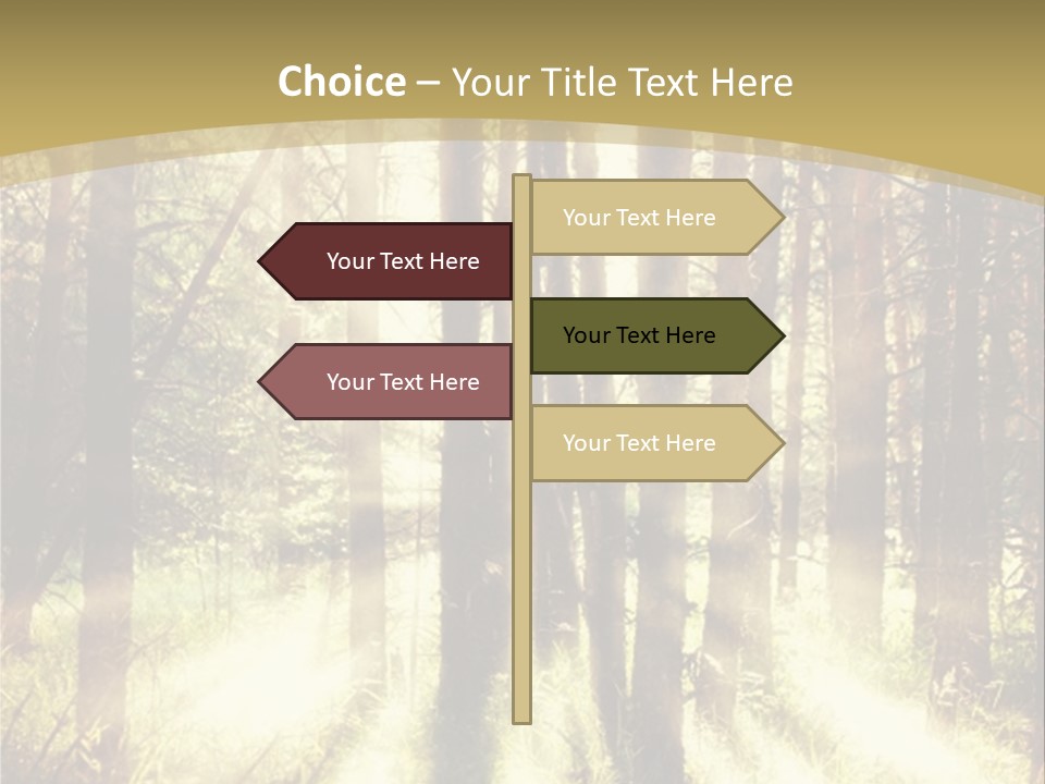 A Sunlit Forest Powerpoint Presentation PowerPoint Template