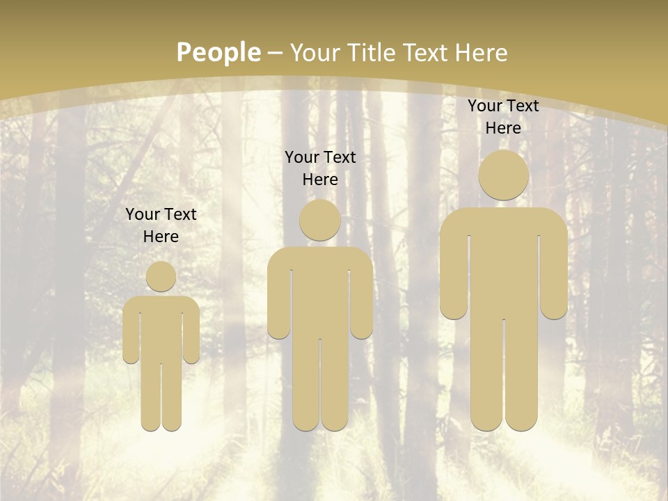 A Sunlit Forest Powerpoint Presentation PowerPoint Template