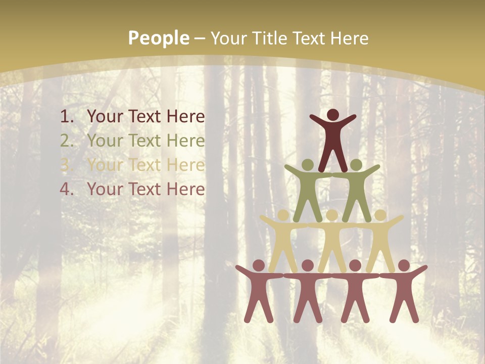 A Sunlit Forest Powerpoint Presentation PowerPoint Template