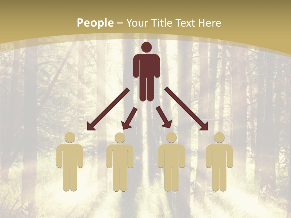 A Sunlit Forest Powerpoint Presentation PowerPoint Template