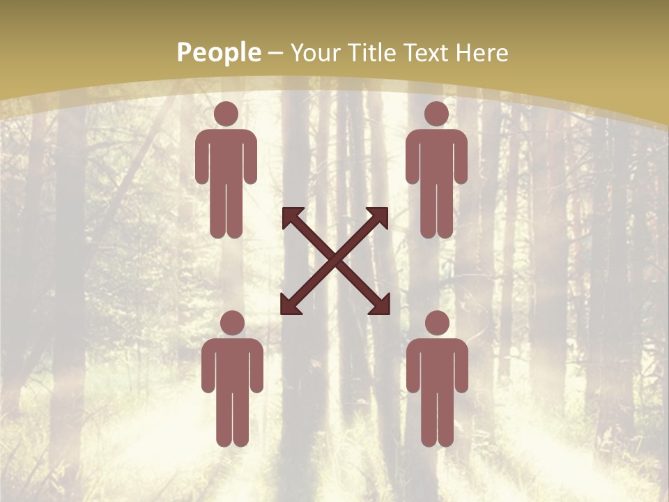 A Sunlit Forest Powerpoint Presentation PowerPoint Template