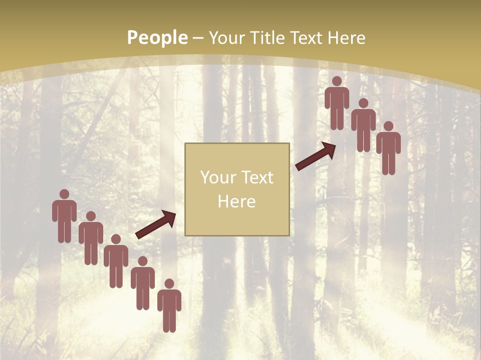 A Sunlit Forest Powerpoint Presentation PowerPoint Template