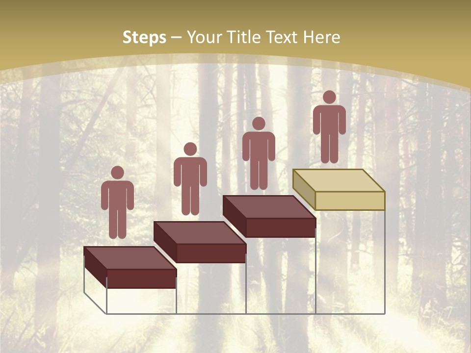 A Sunlit Forest Powerpoint Presentation PowerPoint Template