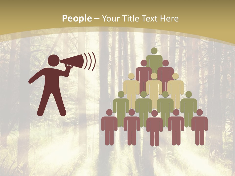 A Sunlit Forest Powerpoint Presentation PowerPoint Template