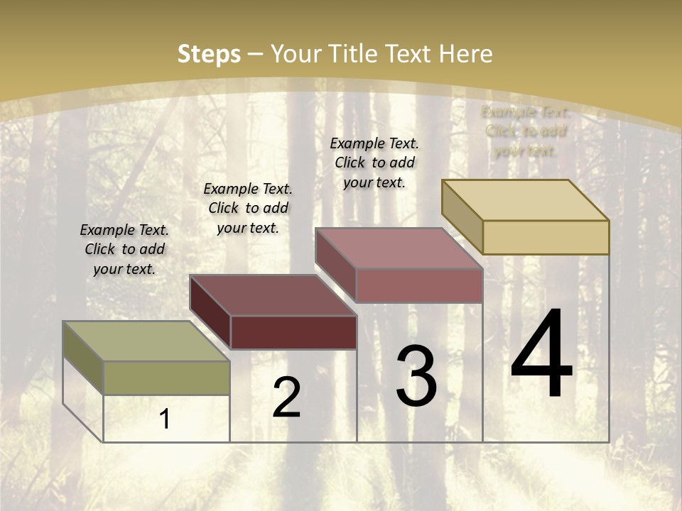 A Sunlit Forest Powerpoint Presentation PowerPoint Template