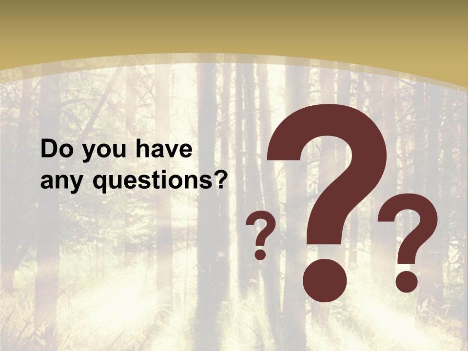 A Sunlit Forest Powerpoint Presentation PowerPoint Template