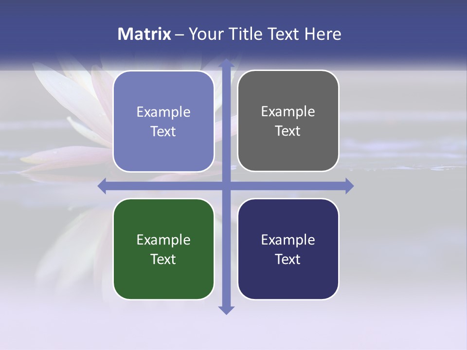 A Water Lily Floating On Top Of A Body Of Water PowerPoint Template