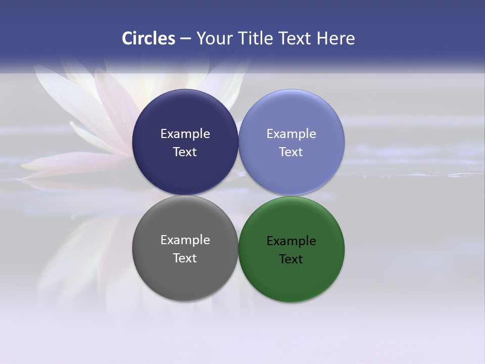 A Water Lily Floating On Top Of A Body Of Water PowerPoint Template