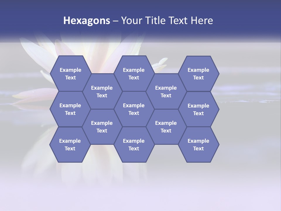 A Water Lily Floating On Top Of A Body Of Water PowerPoint Template