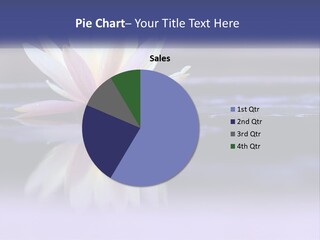 A Water Lily Floating On Top Of A Body Of Water PowerPoint Template