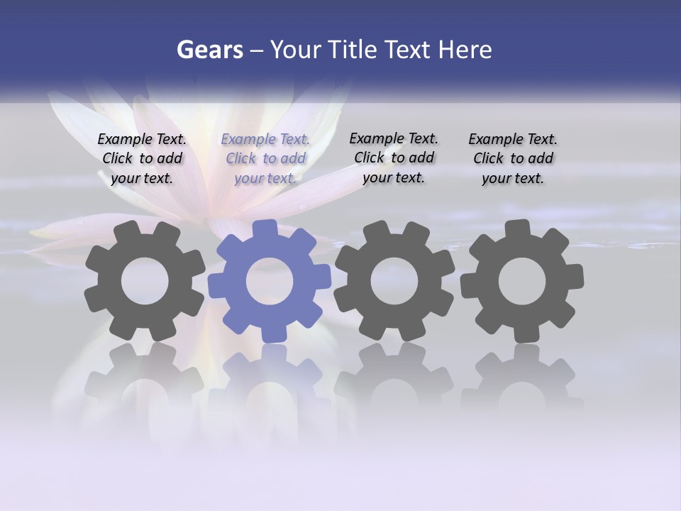 A Water Lily Floating On Top Of A Body Of Water PowerPoint Template