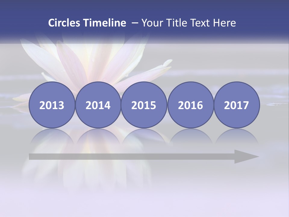 A Water Lily Floating On Top Of A Body Of Water PowerPoint Template