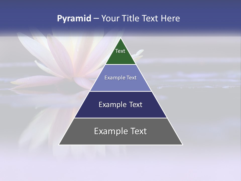 A Water Lily Floating On Top Of A Body Of Water PowerPoint Template