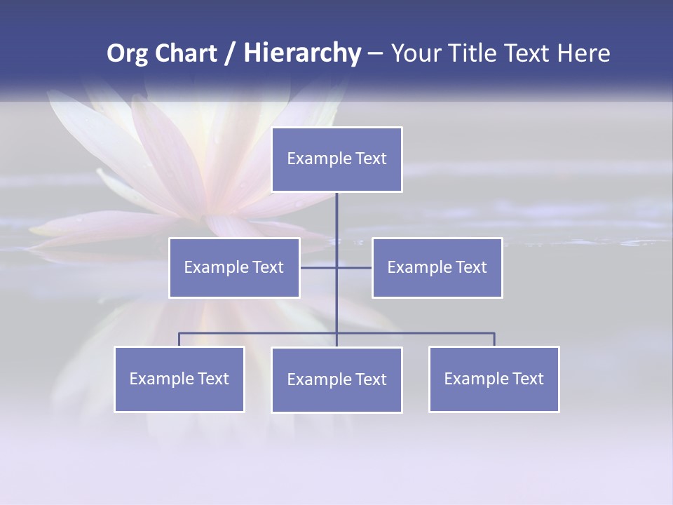 A Water Lily Floating On Top Of A Body Of Water PowerPoint Template