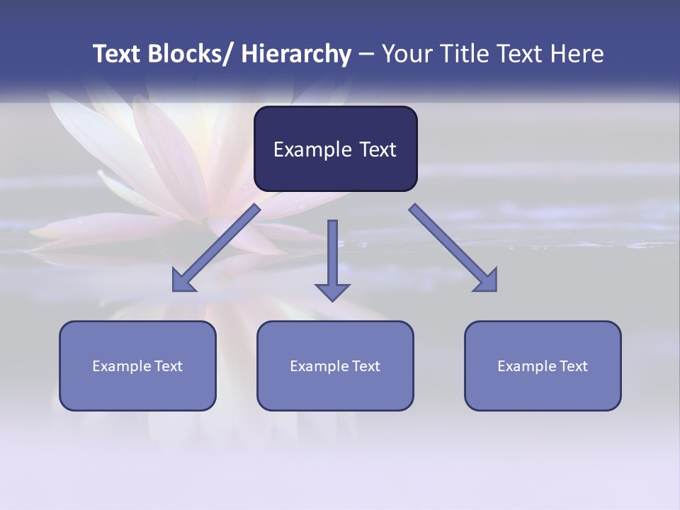 A Water Lily Floating On Top Of A Body Of Water PowerPoint Template
