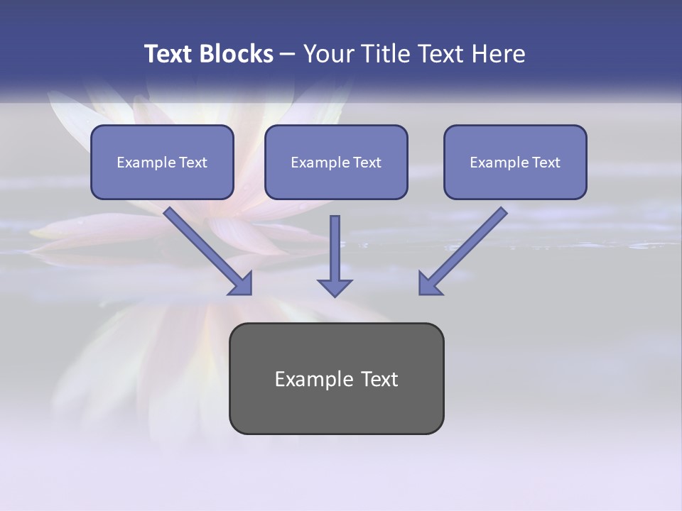 A Water Lily Floating On Top Of A Body Of Water PowerPoint Template
