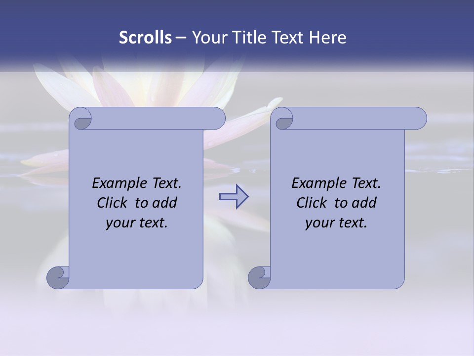 A Water Lily Floating On Top Of A Body Of Water PowerPoint Template