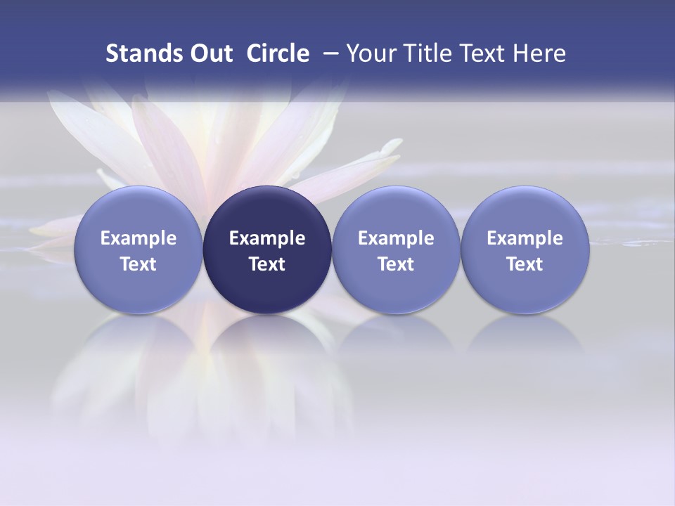 A Water Lily Floating On Top Of A Body Of Water PowerPoint Template