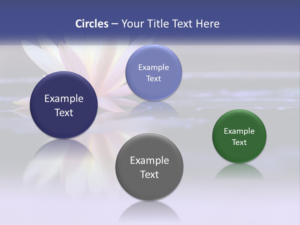 A Water Lily Floating On Top Of A Body Of Water PowerPoint Template