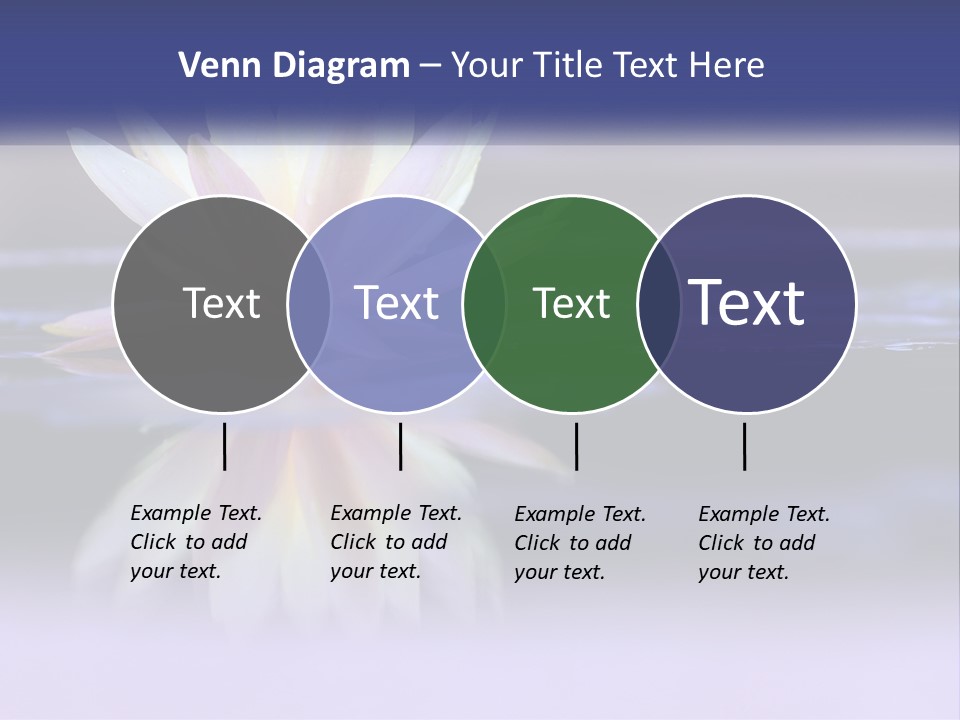 A Water Lily Floating On Top Of A Body Of Water PowerPoint Template