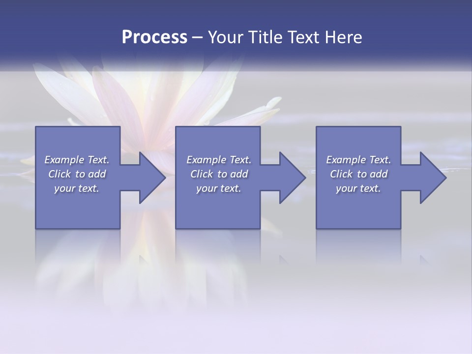 A Water Lily Floating On Top Of A Body Of Water PowerPoint Template