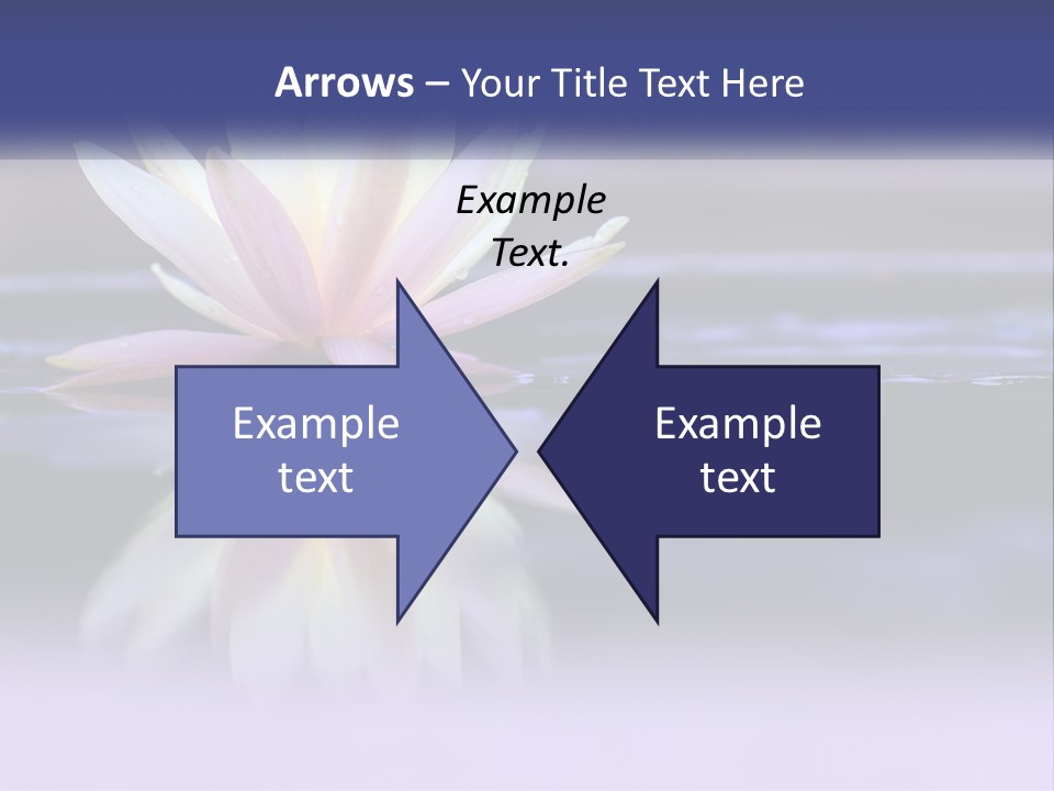 A Water Lily Floating On Top Of A Body Of Water PowerPoint Template