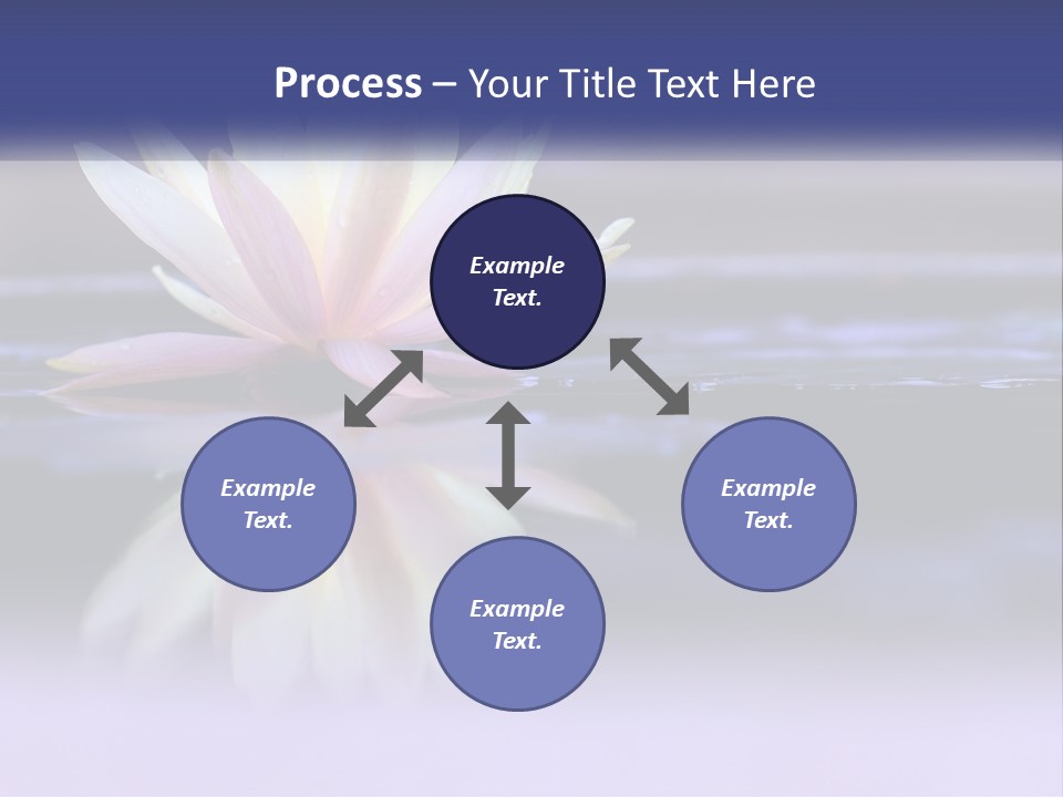 A Water Lily Floating On Top Of A Body Of Water PowerPoint Template
