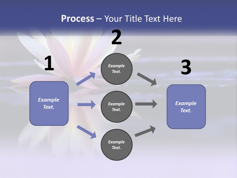 A Water Lily Floating On Top Of A Body Of Water PowerPoint Template