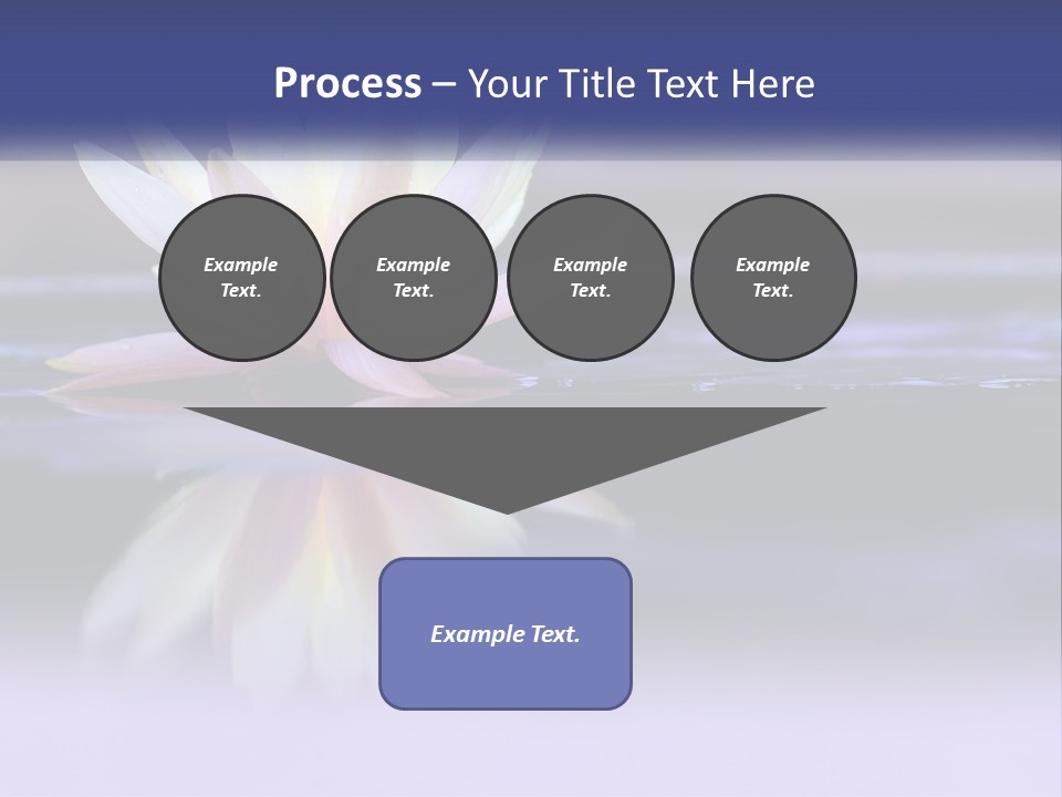 A Water Lily Floating On Top Of A Body Of Water PowerPoint Template