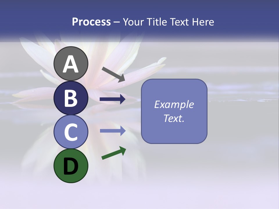 A Water Lily Floating On Top Of A Body Of Water PowerPoint Template