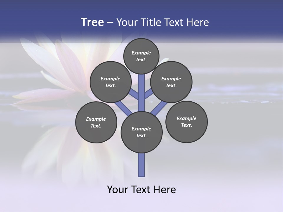 A Water Lily Floating On Top Of A Body Of Water PowerPoint Template