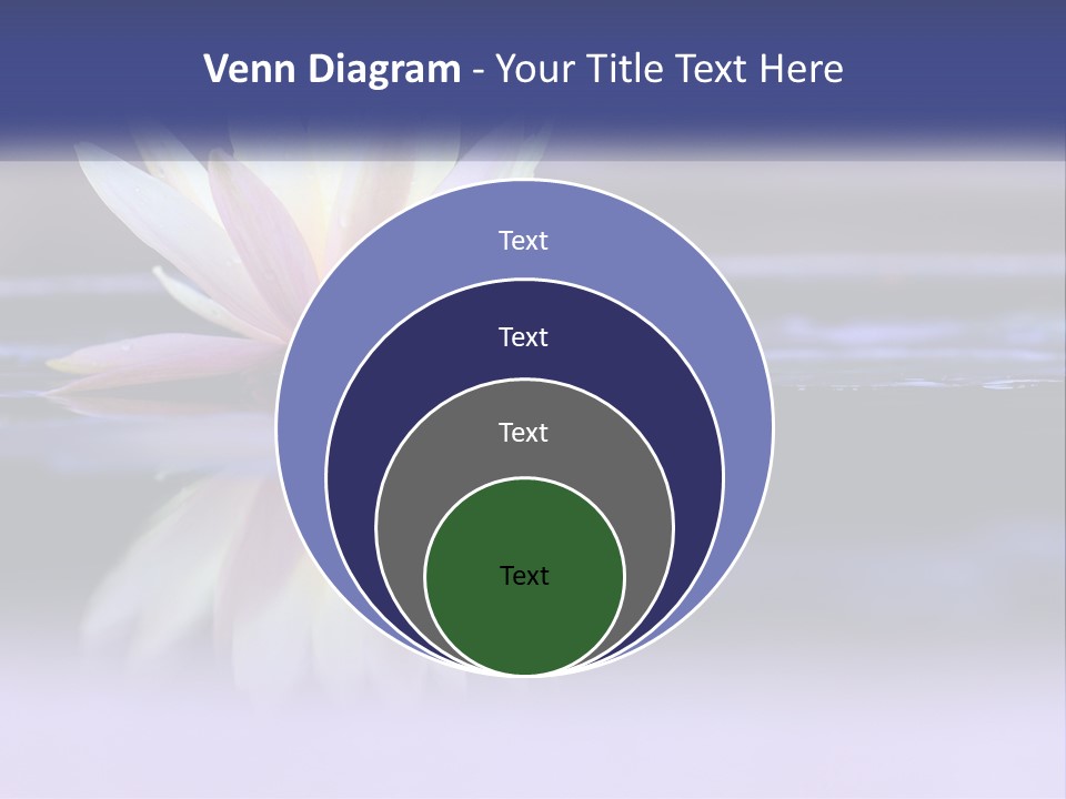 A Water Lily Floating On Top Of A Body Of Water PowerPoint Template