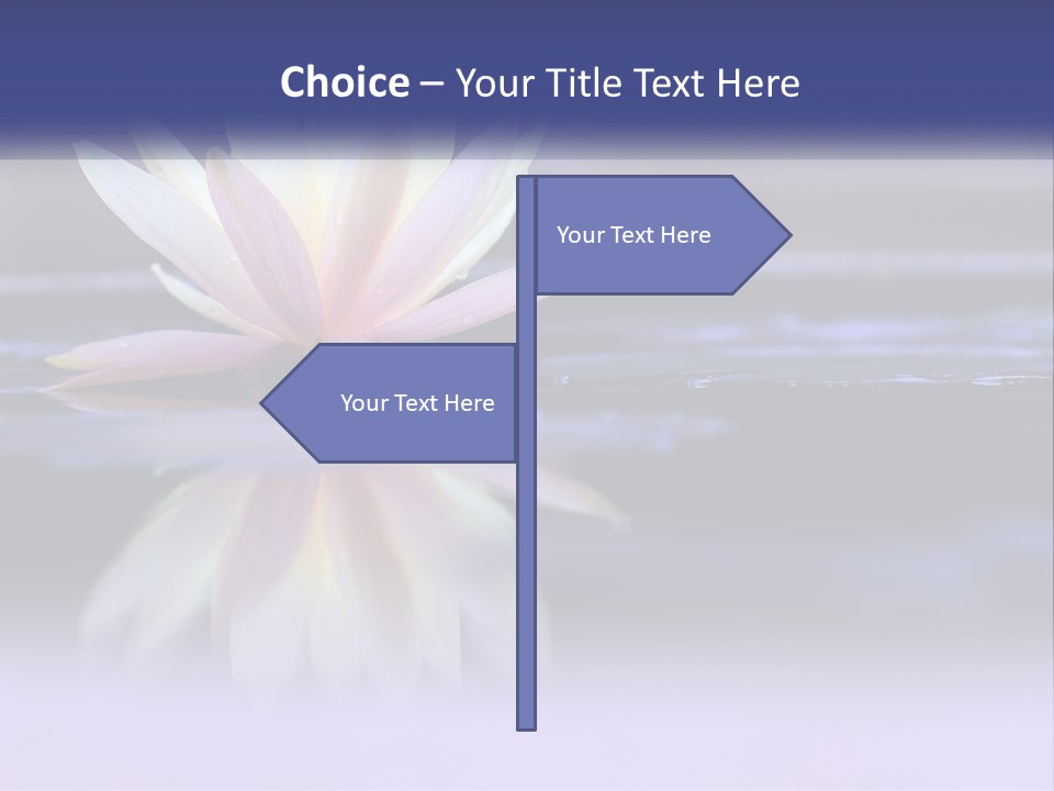 A Water Lily Floating On Top Of A Body Of Water PowerPoint Template