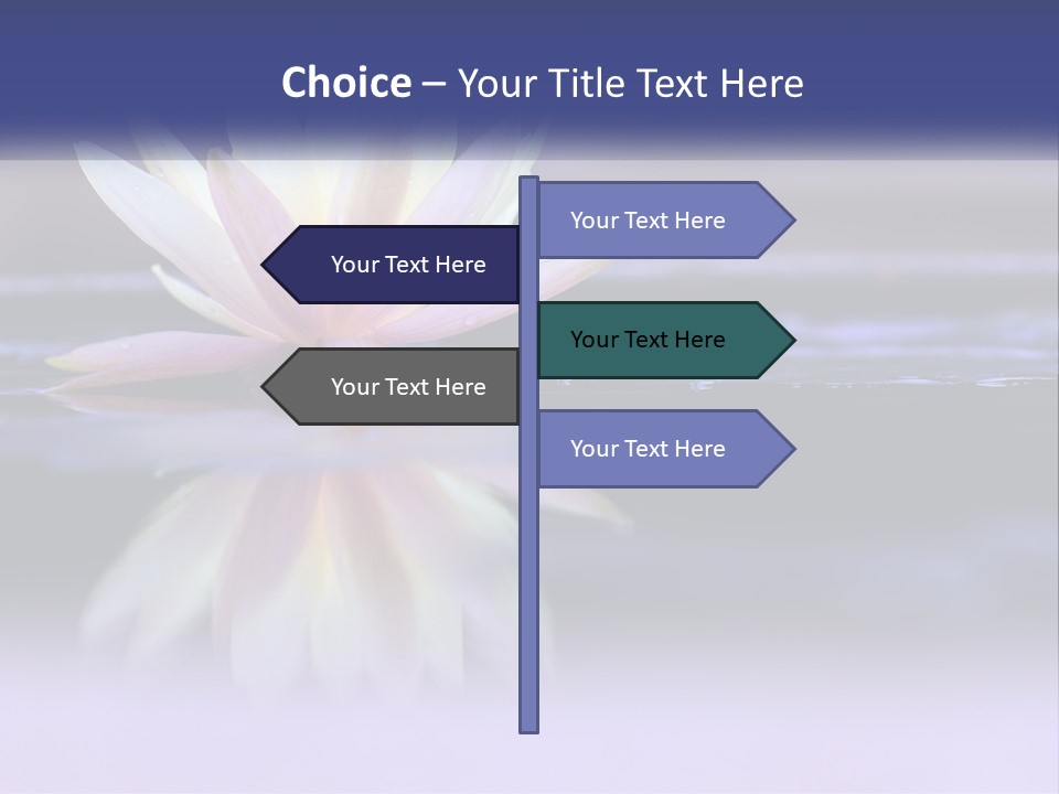 A Water Lily Floating On Top Of A Body Of Water PowerPoint Template