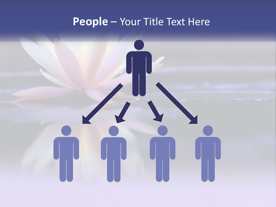 A Water Lily Floating On Top Of A Body Of Water PowerPoint Template